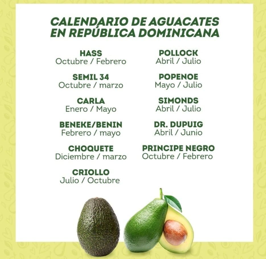  Variedades de Aguacate Cultivadas  Variedades de Aguacate Cultivadas