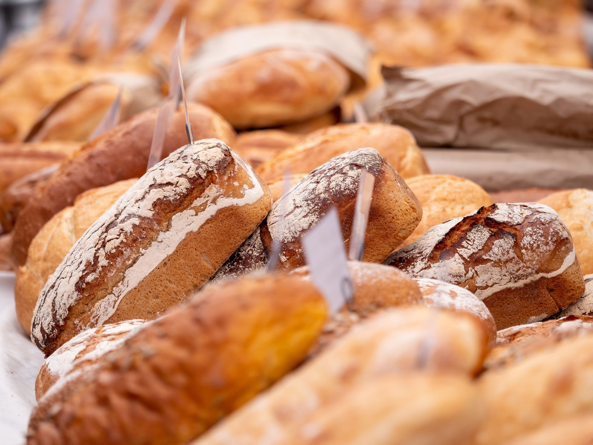 Panes caseros recién horneados